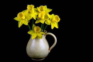 Bunch of Daffodils in an Old Earthenware Wine Jug on a Black Background