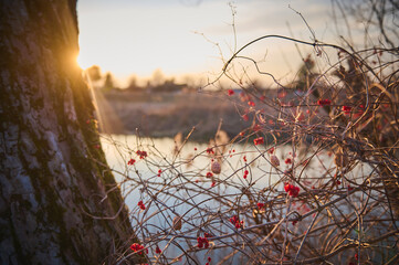 The rays of the sun falling on colorful drapes against the background of the river