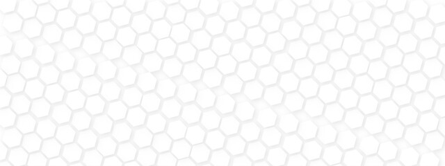 Abstract hexagon geometric surface. Background with hexagons. Abstract background with lines . white texture background. Modern Abstract vector illustration. Poster, wallpaper, Landing page. hexagon.