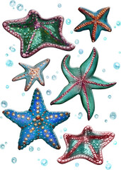 Fototapeta na wymiar Drawing of starfish. underwater inhabitants. Watercolor drawing. 