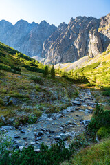 Javorova dolina valley with river and peaks above in High Tatras mountains in Slovakia © honza28683