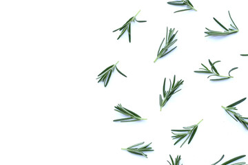 Obraz premium Fresh rosemary on white background.