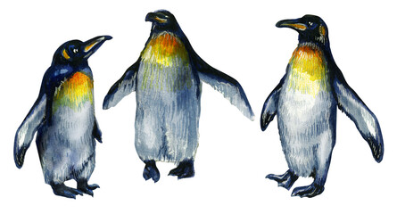Drawing of a group of penguins in different poses. Great birds of Antarctica. Watercolor drawing.

