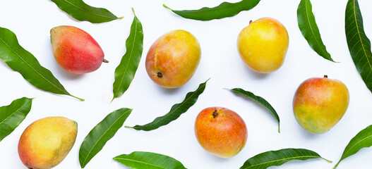 Tropical fruit, Mango  on white background.