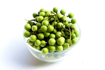 Turkey berry isolated on white background