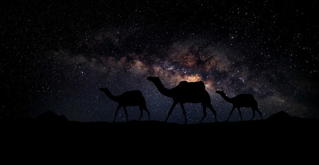 Camels silhouettes in dunes of Thar desert on dark  night sky with many stars,milky way. Jaisalmer, Rajasthan, India.