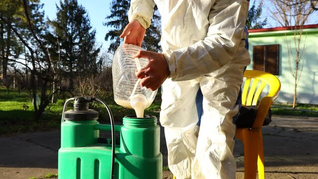 Gardener is preparing suitable mixture of water and concentrated amount of extract from small bag in proper scale, botanical solutions of pesticide, fungicide, for sprinkling fruit trees early spring.