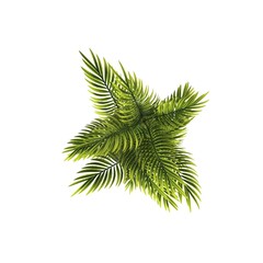 Obraz premium decorative flowers and plants for the interior, top view, isolated on white background, 3D illustration, cg render 