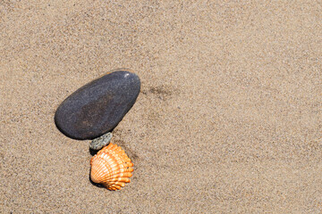 Small ston by the beach with a shell