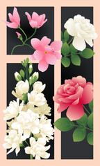 A pink and white flower is shown on a black background vector