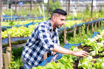 Farmer using digital tablet in the vegetable farm organic smart farm control by science technology