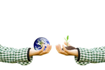 World Environment Day. Earth and trees in human hands.