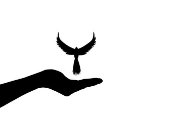 Human hand silhouette set the bird free. Get free