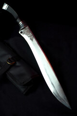 A sword with a sheath
