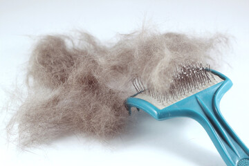 A lump of cat hair and a comb for combing hair. White isolated background. Pet care.