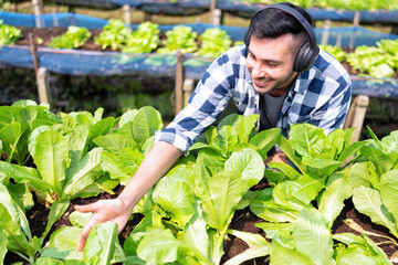 Smart farmer wearing head phone enjoy listen music and morning walk checking growth vegetable plant