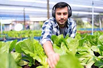 Smart farmer wearing head phone enjoy listen music and morning walk checking growth vegetable plant