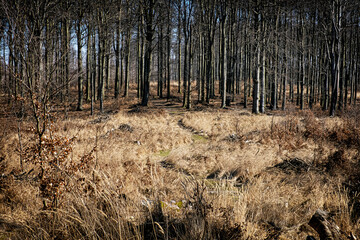 Little Carpathians scenery, Slovakia, seasonal natural scene