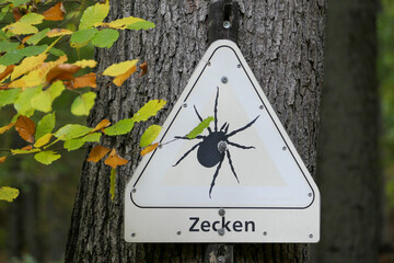 „Warnung vor Zecken“. Schild an einem Baum im Wald 