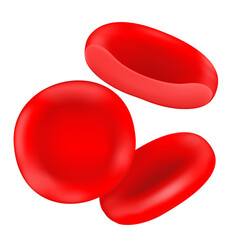 Red blood cell. 