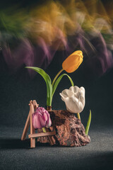 concept spring. freakebana. Trendy card with three multi-colored tulips. Creative image of flowers...