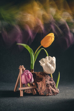 concept spring. freakebana. Trendy card with three multi-colored tulips. Creative image of flowers with blurred trail, fantasy motion effect, long exposure, motion blur