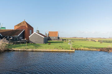Peaceful countryside scenery, grazing goats munching on grass, ducks floating on the water