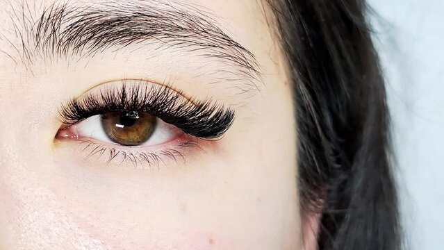 close up of eyelash Extensions in beauty salon 