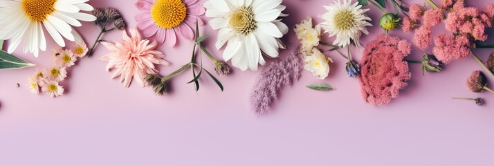 Dry herbs and flowers banner. Alternative medicine on pastel purple background. Illustration AI