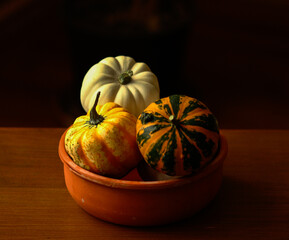 Ornamental pumpkins of various colors, shapes and sizes