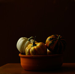 Ornamental pumpkins of various colors, shapes and sizes