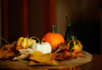 Ornamental pumpkins of various colors, shapes and sizes
