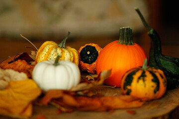 Ornamental pumpkins of various colors, shapes and sizes