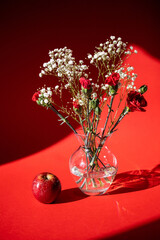 A bouquet of flowers. Red background. Light and shadow. Flowers of red carnation and white gypsophila