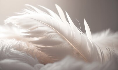  a close up of a white feather on a gray background with a blurry image of the feather and the rest of the feather visible feathers.  generative ai - obrazy, fototapety, plakaty