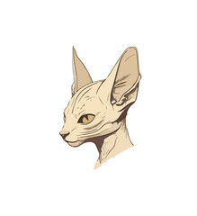 Vector illustration of a portrait of the Canadian Sphynx