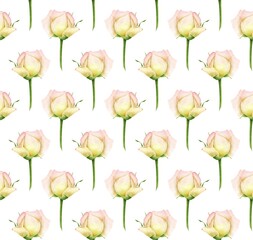 WHITE SEAMLESS BACKGROUND WITH BLOOMING DIGITAL WATERCOLOR ROSES
