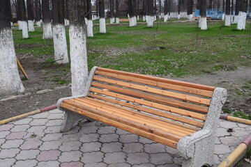 bensh in the park
