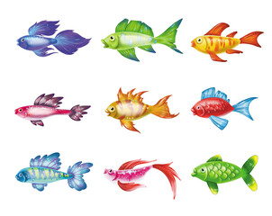 Colored cute sea fish.  cartoon set of freshwater
  aquarium characters isolated on white background. Varieties of decorative underwater  popular colored fish for print, children development
