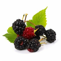 An isolated cluster of boysenberries on a white background Generative AI