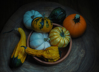 Ornamental pumpkins of various colors, shapes and sizes