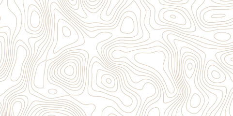Fototapeta premium Abstract Topographic map background with wave line. gradient multicolor wave curve lines banner background design. Vector illustration. Line topography map contour background.