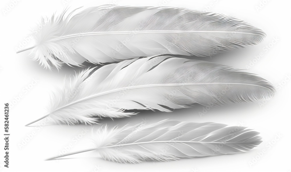 Aufkleber three white feathers are shown on a white background with a shadow of the feathers on the left side 