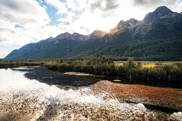 views of fiordland national park in new zealand