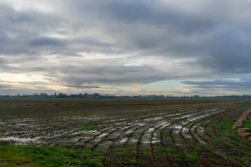 Dutch landscape