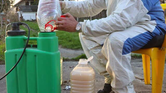 Gardener is preparing suitable mixture of water and concentrated amount of extract from small bag in proper scale, botanical solutions of pesticide, fungicide, for sprinkling fruit trees early spring.