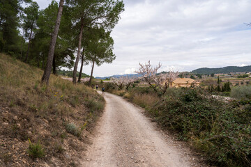 Fototapeta na wymiar bullas salto del usero