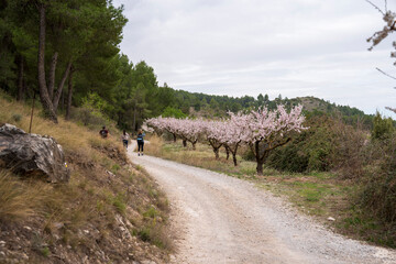 bullas salto del usero