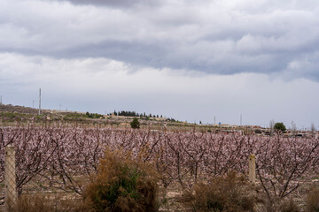 bullas salto del usero