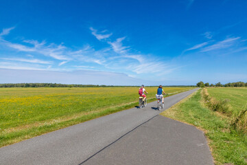 Radweg auf dem Darß.